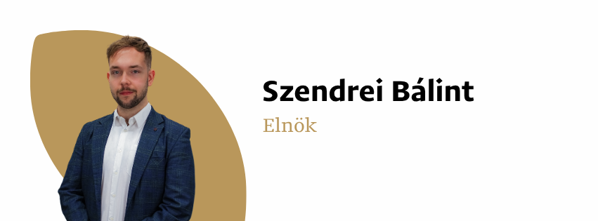Szendrei Bálint, HÖK-elnök