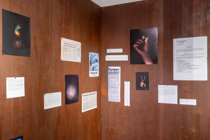 Művész mint… Kutatás alapú művészet a mindennapokban Móró Zsófia előadása